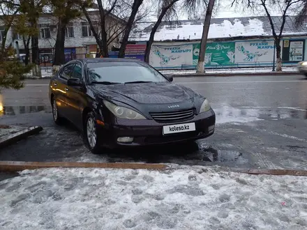 Lexus ES 300 2003 года за 5 500 000 тг. в Талдыкорган – фото 7