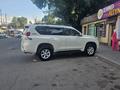 Toyota Land Cruiser Prado 2012 годаfor15 500 000 тг. в Алматы – фото 2