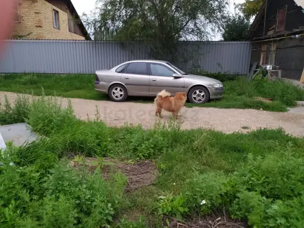 Opel Vectra 1996 года за 1 300 000 тг. в Астана – фото 5