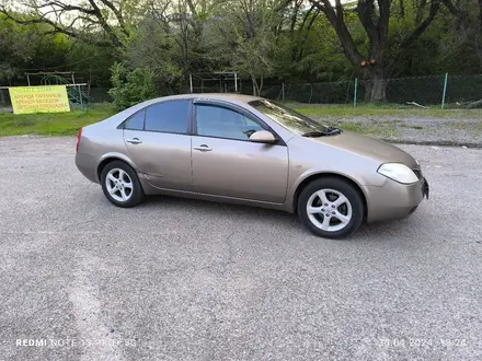 Nissan Primera 2007 года за 2 850 000 тг. в Алматы – фото 22