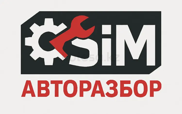 Разбор SiM в Алматы