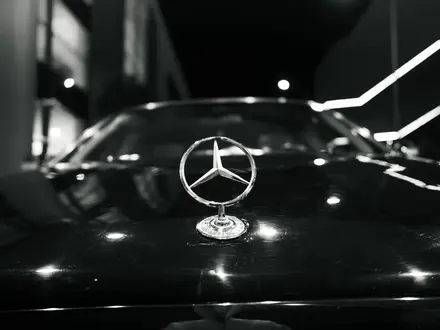 Mercedes-Benz S 500 2003 года за 4 200 000 тг. в Алматы – фото 11