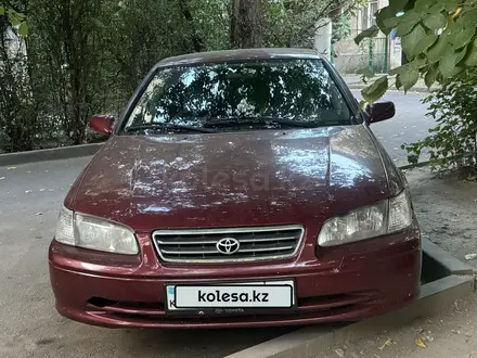 Toyota Camry 2001 года за 3 500 000 тг. в Алматы