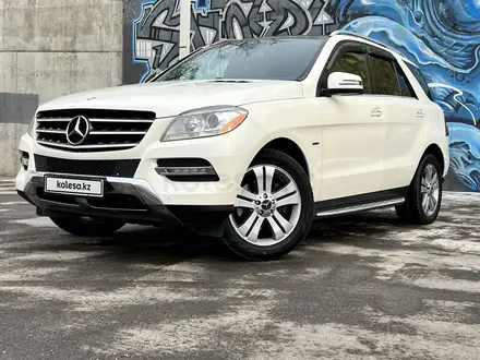 Купить Мл 350 В Красноярске