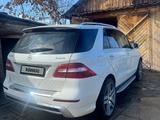 Mercedes-Benz ML 350 2012 годаүшін14 000 000 тг. в Усть-Каменогорск – фото 5