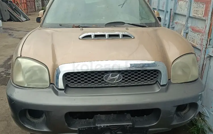 Hyundai Santa Fe 2001 годаүшін1 100 000 тг. в Алматы