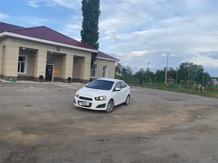 Chevrolet Aveo 2013 года за 3 700 000 тг. в Кокшетау – фото 3