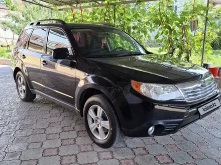 Subaru Forester 2010 года за 4 900 000 тг. в Алматы – фото 2