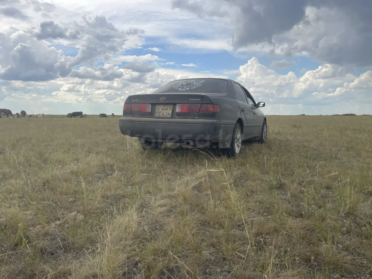 Toyota Camry, 2001