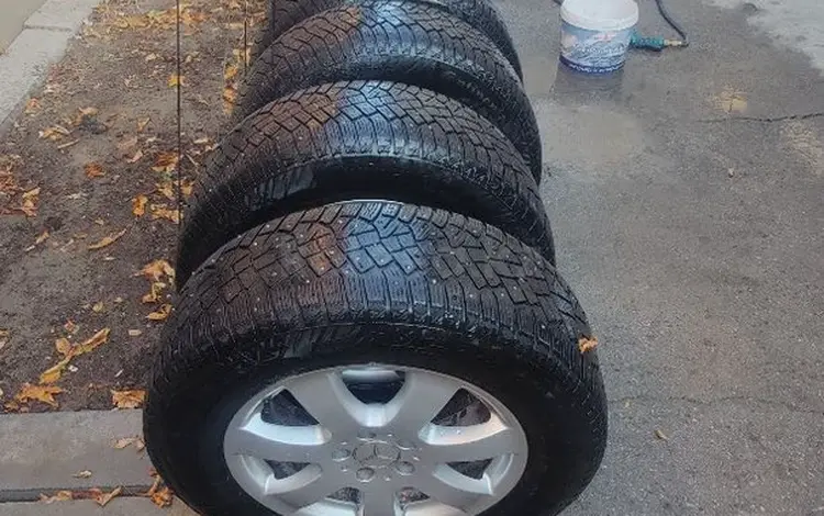 Contenental за 50 000 тг. в Алматы