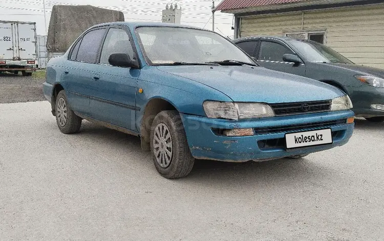 Toyota Corolla 1995 годаүшін1 050 000 тг. в Алматы