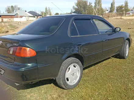 Toyota Corolla 1999 года за 2 550 000 тг. в Кызылорда – фото 11