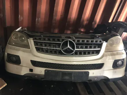 Ноускат мл 164 за 50 000 тг. в Алматы