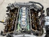 Двигатель VQ35DE за 350 000 тг. в Алматы
