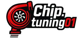 Чип-тюнинг Ремонт эбу в Астана