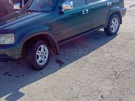 Honda CR-V 2000 года за 4 200 000 тг. в Тараз – фото 5