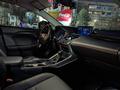Lexus NX 300h 2020 годаүшін19 400 000 тг. в Алматы – фото 20