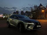 Lexus NX 300h 2020 года за 19 800 000 тг. в Алматы