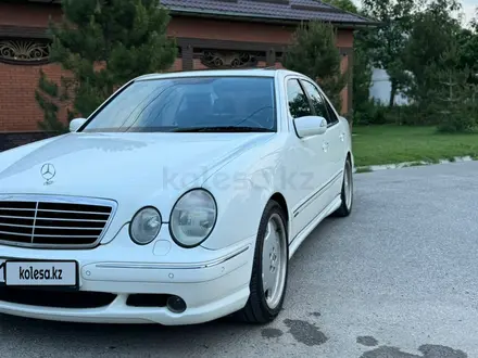 Mercedes-Benz E 55 AMG 2002 года за 10 500 000 тг. в Шымкент – фото 3