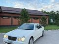 Mercedes-Benz E 55 AMG 2002 года за 10 500 000 тг. в Шымкент – фото 4
