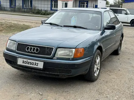 Audi 100 1992 года за 1 999 999 тг. в Амангельды