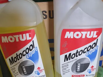 Motul антифриз для мотоцикла за 8 000 тг. в Астана