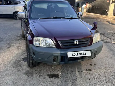 Honda CR-V 1995 года за 2 500 000 тг. в Алматы