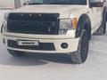 Ford F-Series 2009 года за 14 500 000 тг. в Караганда