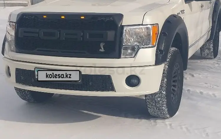 Ford F-Series 2009 годаүшін13 500 000 тг. в Караганда