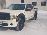 Ford F-Series 2009 года за 14 500 000 тг. в Караганда – фото 2