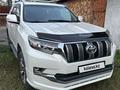 Toyota Land Cruiser Prado 2010 года за 15 800 000 тг. в Усть-Каменогорск – фото 4