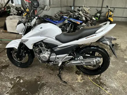 Suzuki  GW 250 (GSR 250) 2014 года за 1 400 000 тг. в Алматы – фото 6