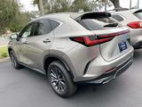 Lexus NX 350 2023 года за 23 782 445 тг. в Алматы – фото 2