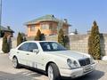 Mercedes-Benz E 55 AMG 1998 года за 4 000 000 тг. в Алматы – фото 11