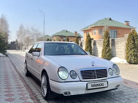 Mercedes-Benz E 55 AMG 1998 года за 4 000 000 тг. в Алматы – фото 14
