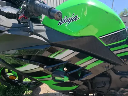 Kawasaki  Ninja 300 2014 года за 1 500 000 тг. в Алматы – фото 4