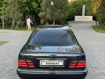 Mercedes-Benz E 55 AMG 1997 года за 4 400 000 тг. в Алматы – фото 5