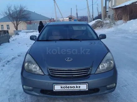 Lexus ES 300 2003 года за 5 500 000 тг. в Кокшетау – фото 8