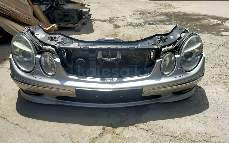 Ноускат мини морда за 250 000 тг. в Алматы