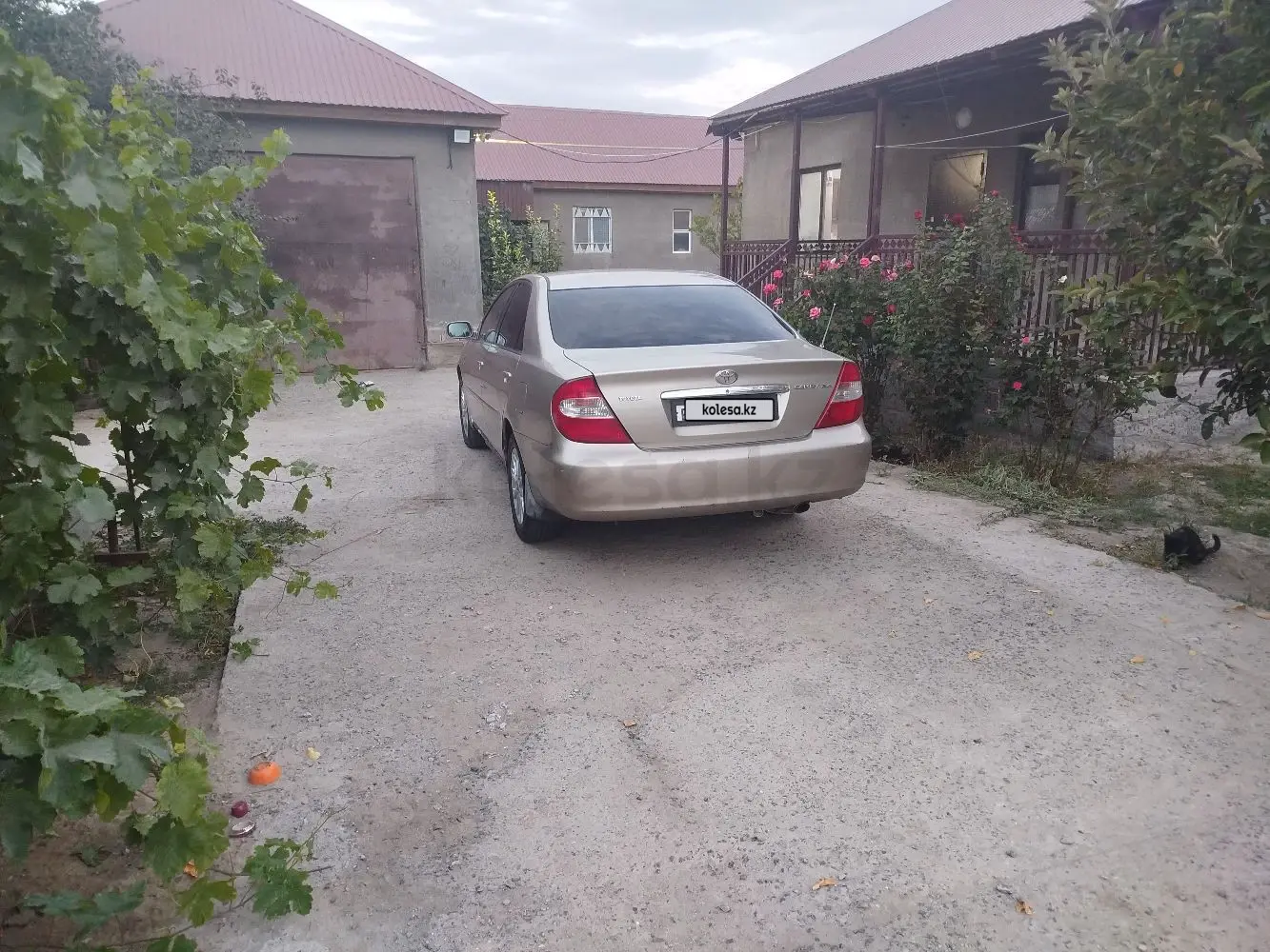 Toyota Camry, 2004