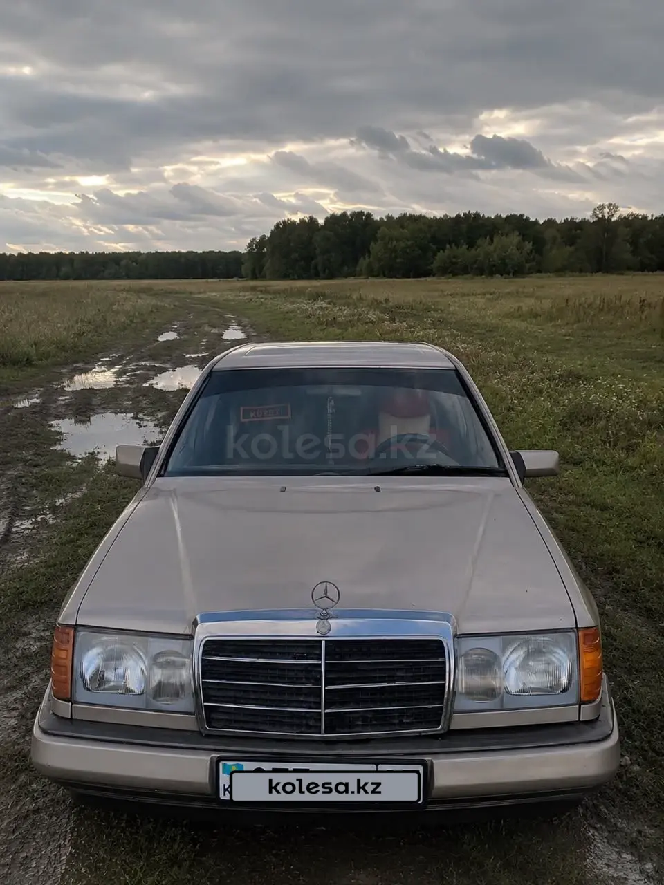Mercedes-Benz E-Class, 1991
