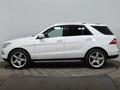 Mercedes-Benz ML 350 2013 года за 12 790 000 тг. в Астана – фото 8