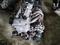 Kонтрактный двигатель (АКПП) 2AZ, 1AZ, 1MZ-four cam Тойота Сamry 30ка, 40ка за 499 000 тг. в Алматы