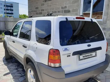 Ford Escape 2002 года за 3 300 000 тг. в Усть-Каменогорск – фото 5