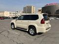 Lexus GX 470 2003 года за 15 000 000 тг. в Алматы – фото 13