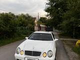 Mercedes-Benz CLK 55 AMG 2001 года за 7 500 000 тг. в Алматы – фото 2
