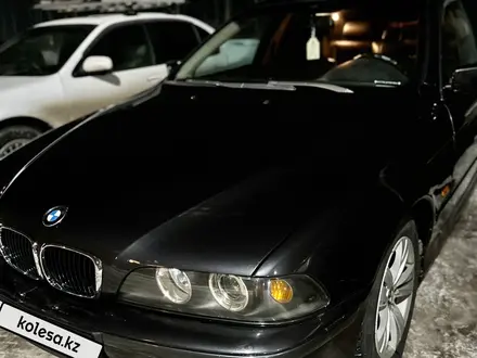 BMW 525 2001 года за 5 000 000 тг. в Шымкент – фото 6
