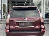 Lexus GX 460 2020 годаүшін28 500 000 тг. в Шымкент – фото 5