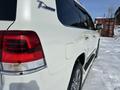 Toyota Land Cruiser 2020 года за 39 000 000 тг. в Усть-Каменогорск – фото 17
