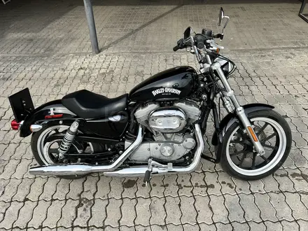 Harley-Davidson  Sportster 883 2018 года за 4 000 000 тг. в Алматы – фото 2